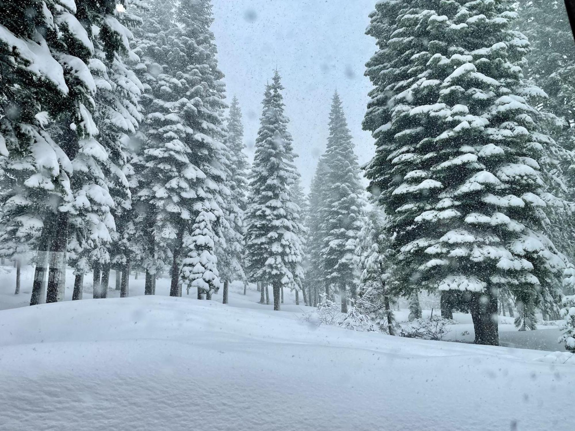 Bear Meadows Lodge - Hot Tub - Tahoe Donner Home Truckee Exterior foto